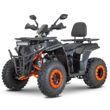Квадроцикл Dazzle ATV200 Комплектация 1