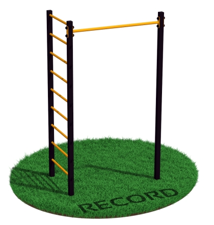 Уличный турник + шведская стенка с турником и брусьями Record R2W-1 профиль 60х60 х 2 мм, фото 2