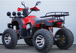 Квадроцикл STALKER 250 Lux, фото 16 Квадроцикл STALKER 250 Lux, фото 16