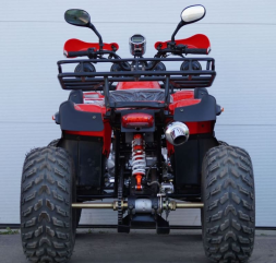 Квадроцикл STALKER 250 Lux, фото 11 Квадроцикл STALKER 250 Lux, фото 11