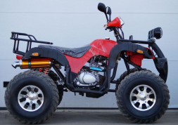 Квадроцикл STALKER 250 Lux, фото 7 Квадроцикл STALKER 250 Lux, фото 7