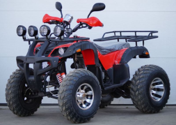 Квадроцикл STALKER 250 Lux, фото 2 Квадроцикл STALKER 250 Lux, фото 2
