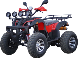 Квадроцикл STALKER 250 Lux, фото 1 Квадроцикл STALKER 250 Lux, фото 1