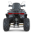 Квадроцикл Dazzle ATV200 Комплектация 2