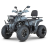 Квадроцикл Dazzle ATV200 Комплектация 2