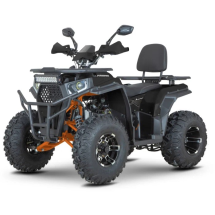 Квадроцикл Dazzle ATV200 Комплектация 2