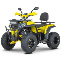 Квадроцикл Dazzle ATV200 Комплектация 2