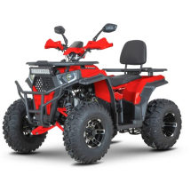 Квадроцикл Dazzle ATV200 Комплектация 2