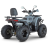Квадроцикл Dazzle ATV200 Комплектация 2