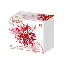 "Магические Кристаллы" красный набор