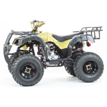 Квадроцикл STALKER 250