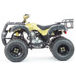 Квадроцикл STALKER 250, фото 12 Квадроцикл STALKER 250, фото 12