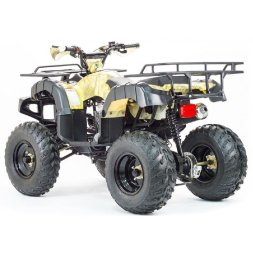 Квадроцикл STALKER 250, фото 10 Квадроцикл STALKER 250, фото 10