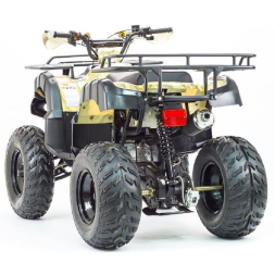 Квадроцикл STALKER 250, фото 9 Квадроцикл STALKER 250, фото 9