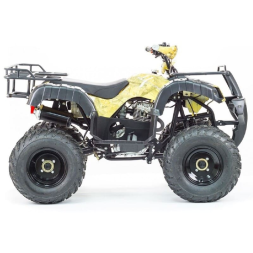 Квадроцикл STALKER 250, фото 5 Квадроцикл STALKER 250, фото 5