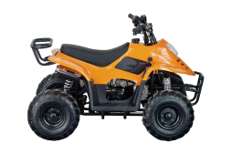 Квадроцикл STALKER 110, фото 4 Квадроцикл STALKER 110, фото 4