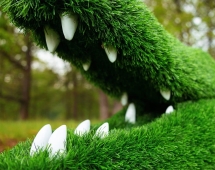 Топиари крокодил Нельсон - газон Eco + Eco Green