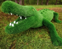 Топиари крокодил Нельсон - газон Eco + Eco Green