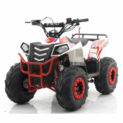Квадроцикл MOTAX ATV Grizlik A110, фото 18