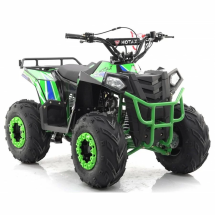 Квадроцикл MOTAX ATV Grizlik A110