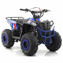 Квадроцикл MOTAX ATV Grizlik A110