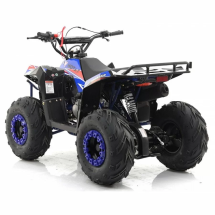 Квадроцикл MOTAX ATV Grizlik A110