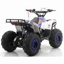 Квадроцикл MOTAX ATV Grizlik A110