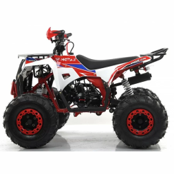 Квадроцикл MOTAX ATV Grizlik A125, фото 8