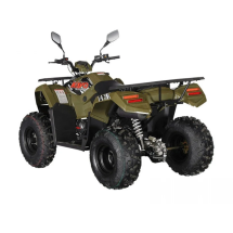 Квадроцикл KAYO AU300 EFI ПТС