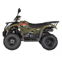 Квадроцикл KAYO AU300 EFI ПТС