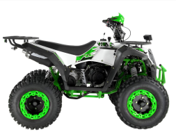 Квадроцикл WELS Thunder Evo 200, фото 4