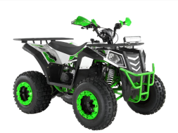 Квадроцикл WELS Thunder Evo 200, фото 2