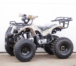 Квадроцикл STALKER 200, фото 10 Квадроцикл STALKER 200, фото 10