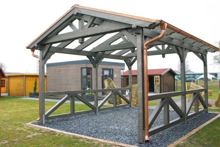 Навес под машину ПЕТРОВСКИЙ Базовая комплектация, фото 1