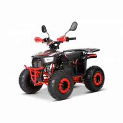 Квадроцикл YACOTA SIRIUS 110, фото 10 Квадроцикл YACOTA SIRIUS 110, фото 10