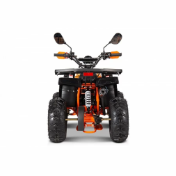 Квадроцикл YACOTA SIRIUS 110, фото 8 Квадроцикл YACOTA SIRIUS 110, фото 8