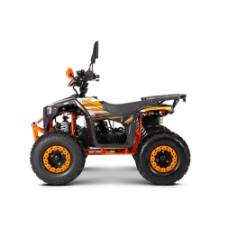 Квадроцикл YACOTA SIRIUS 110, фото 7 Квадроцикл YACOTA SIRIUS 110, фото 7