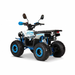 Квадроцикл YACOTA SIRIUS 110, фото 4 Квадроцикл YACOTA SIRIUS 110, фото 4