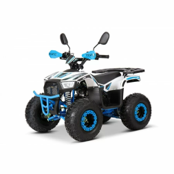 Квадроцикл YACOTA SIRIUS 110, фото 1 Квадроцикл YACOTA SIRIUS 110, фото 1