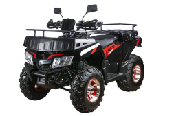 Квадроцикл RATO 200 LD LUXE, фото 3