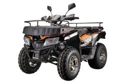 Квадроцикл RATO 200 LD LUXE, фото 1