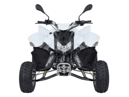Квадроцикл SYM QuadRaider 300 SD, фото 3 Квадроцикл SYM QuadRaider 300 SD, фото 3