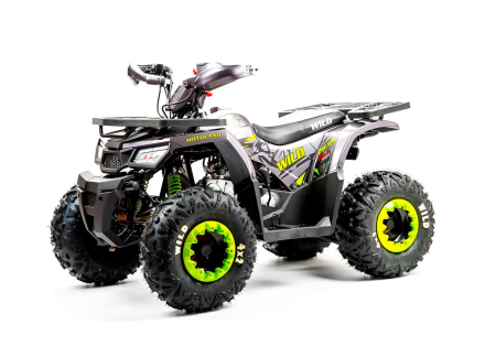 Квадроцикл MOTOLAND Wild Basic 125, фото 1