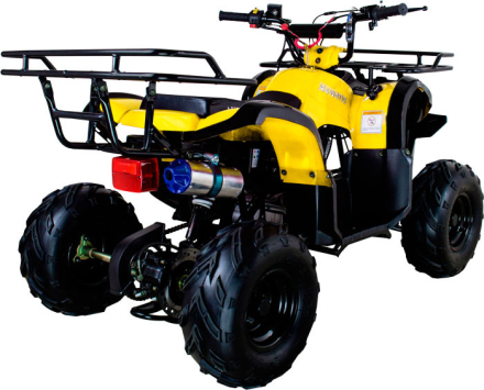 Квадроцикл AVANTIS Hunter 7 LITE, фото 5