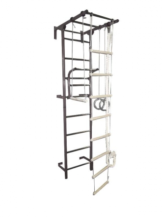 Спортивный комплекс Крепыш плюс Г пристенный серый, фото 1