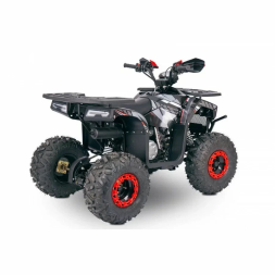 Квадроцикл YACOTA SIRIUS 125, фото 13 Квадроцикл YACOTA SIRIUS 125, фото 13