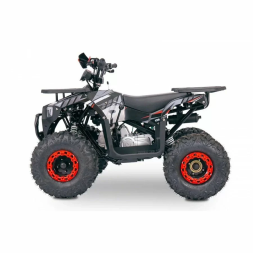 Квадроцикл YACOTA SIRIUS 125, фото 10 Квадроцикл YACOTA SIRIUS 125, фото 10