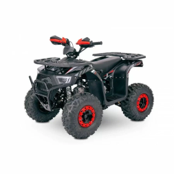 Квадроцикл YACOTA SIRIUS 125, фото 9 Квадроцикл YACOTA SIRIUS 125, фото 9