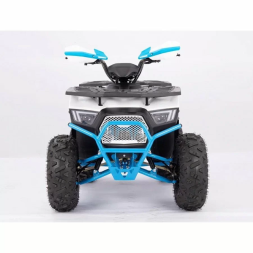 Квадроцикл YACOTA SIRIUS 125, фото 8 Квадроцикл YACOTA SIRIUS 125, фото 8