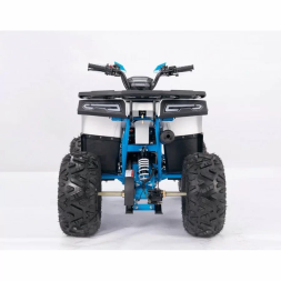 Квадроцикл YACOTA SIRIUS 125, фото 4 Квадроцикл YACOTA SIRIUS 125, фото 4